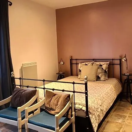 Studihotel Le Cosy Апартаменты Saint-Maurice-de-Gourdans