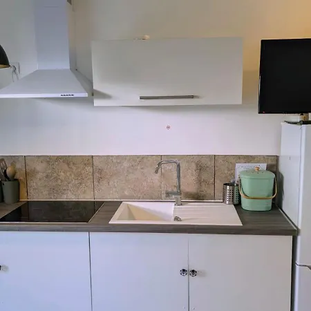 Апартаменты Studihotel Le Cosy Saint-Maurice-de-Gourdans