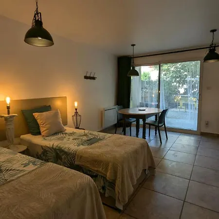Studihotel Le Cosy Апартаменты Saint-Maurice-de-Gourdans