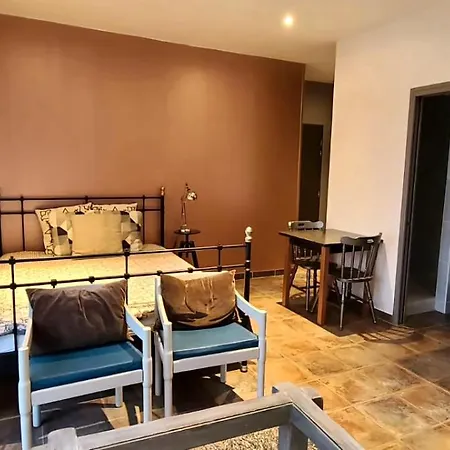 Studihotel Le Cosy Апартаменты Saint-Maurice-de-Gourdans