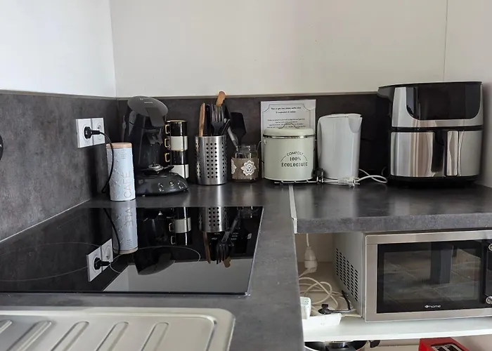 Lejlighed Studihotel Le Cosy Saint-Maurice-de-Gourdans