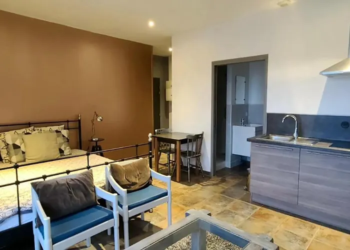 Studihotel Le Cosy Lejlighed 3*