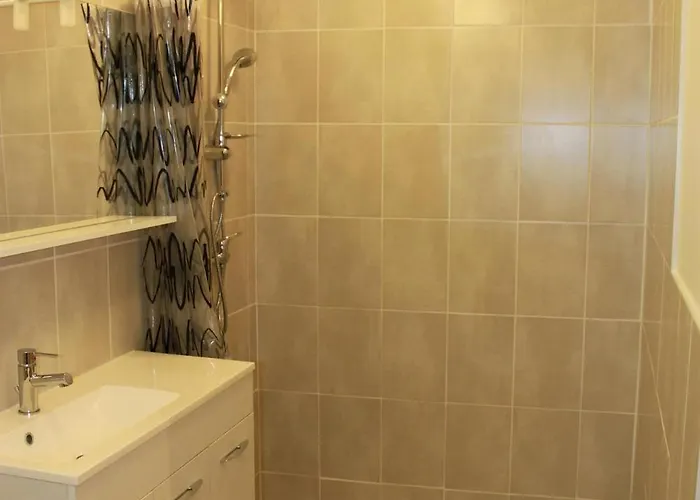 Lejlighed Studihotel Le Cosy 3*