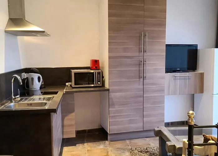 Studihotel Le Cosy Lejlighed 3*