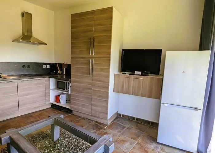 Studihotel Le Cosy Lejlighed