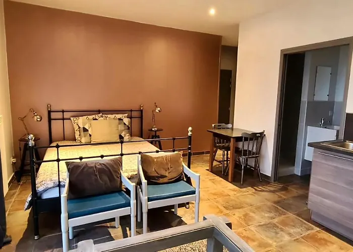 Studihotel Le Cosy Lejlighed Saint-Maurice-de-Gourdans